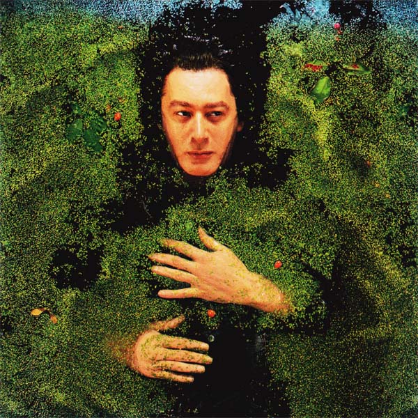 L'album d'<b>Alain Bashung</b> Fantaisie Militaire