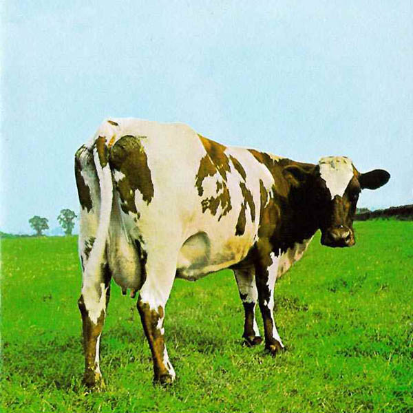 Les albums des Pink Floyd