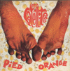 L'album Pied Orange des Satellites